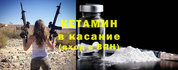 крисы Алексин